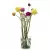 Декоративная рамка для вазы Peleg Design Invisivase Декоративная рамка для вазы Peleg Design Invisivase