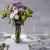 Декоративная рамка для вазы Peleg Design Invisivase Декоративная рамка для вазы Peleg Design Invisivase