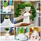 Экочеловеки