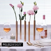 Набор ваз магнитных Peleg Design Magnetic Vase, 5 шт, золотой