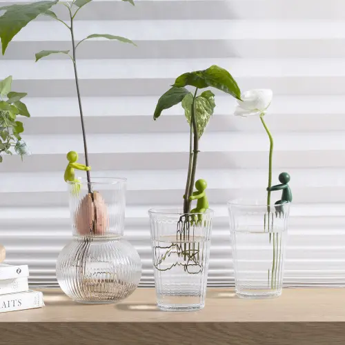 Держатель для ростков Peleg Design Leafriend, набор 3 шт — аксессуар для размножения растений в вазе и горшке