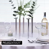 Набор ваз магнитных Peleg Design Magnetic Vase, 5 шт, серебристый