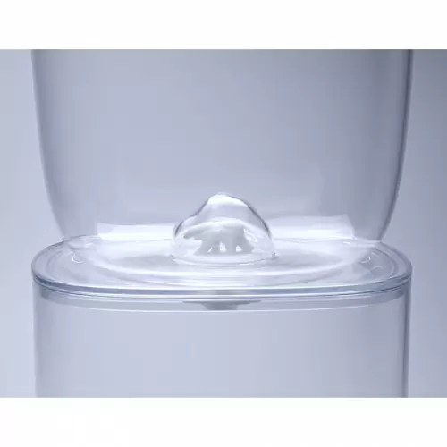 Контейнер для хранения Qualy Polar Bear Ocean 3,5 л