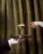 Подставка для колец Umbra Tini Martini, латунь