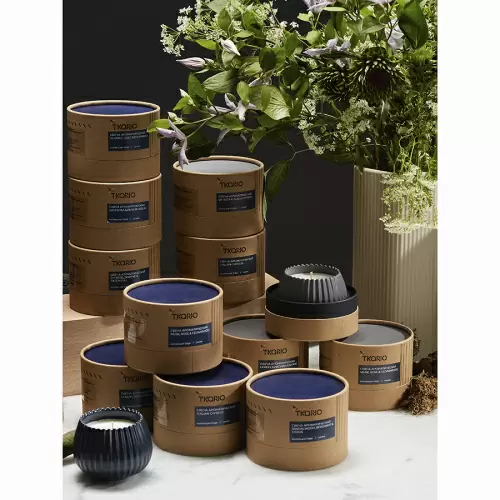 Свеча ароматическая lemon, mandarin & neroli из коллекции edge, синий