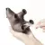 Диспенсер для скотча QUALY Teddy Bear, коричневый Диспенсер для скотча QUALY Teddy Bear, коричневый