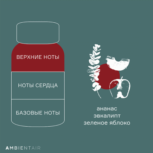 Диффузор ароматический Ambientair Gifting Корица и яблоко, 100 мл