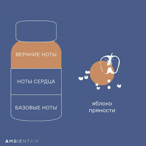 Диффузор ароматический Ambientair Gifting Карамель и яблоко, 100 мл