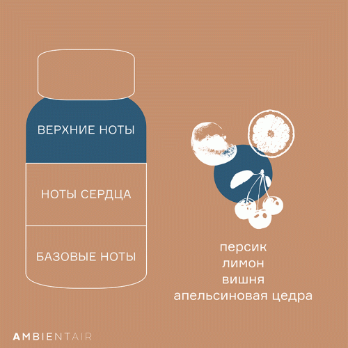 Диффузор ароматический Ambientair Gifting Печенье и ягоды, 100 мл