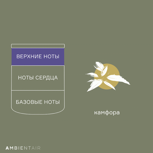 Свеча ароматическая Ambientair Enchanted Forest, Eль, 40 ч