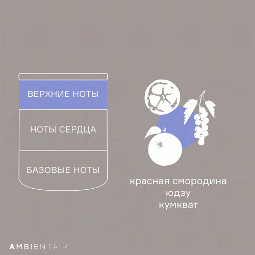 Свеча ароматическая Ambientair Sublime, Цитрусовый цвет, 40 ч